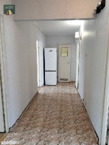 Hajnówka, hajnowski, podlaskie