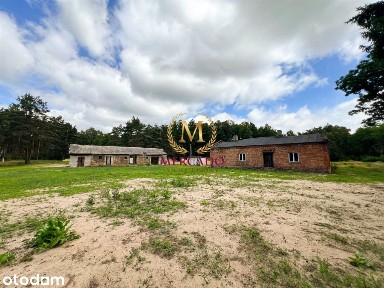 Działka w środku lasu, 3300m2!