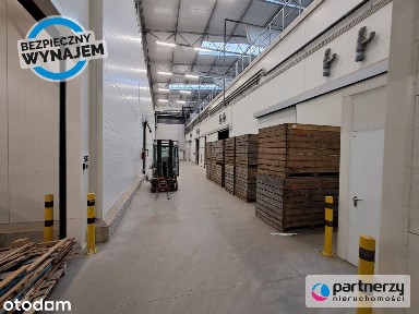 Standard Chłodniczy 0°c lub zwykły magazyn