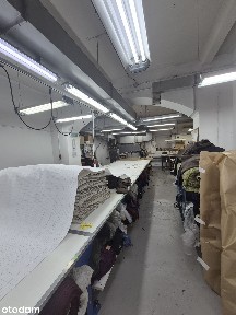 Lokal użytkowy w centrum z rampą