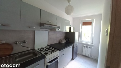 2 oddzielne pok. 38m2 ul. Królewska/Nowowiejska