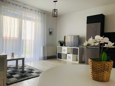 Duża kawalerka/studio na ul. Dobrego Pasterza.