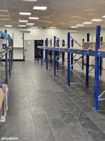 Suchy Las samodzielny obiekt 500m2 (dz. 1333m2 ) - 0 PROWIZJI