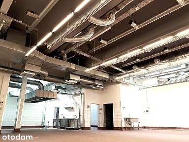 Wysogotowo obiekt 700m2 (produk.spożywczo-farmaceutyczna) NA INWESTYCJE