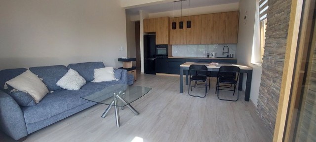 Super okazja! Do wynajęcia od zaraz 3- pokojowy apartament z ogrodem
