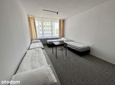 Hostel Blue na wynajem