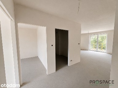 Las za oknem II ul. Batorego II duży balkon