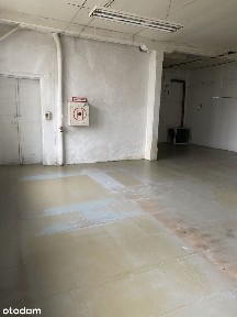 Lokal użytkowy, 82 m², Łódź