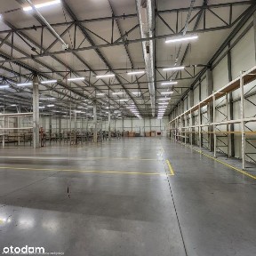 Wynajmę halę magazynowo-produkcyjno-handlową.
