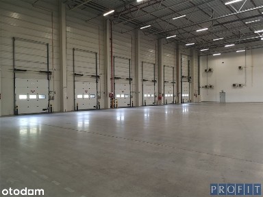Magazyn 2337m², 4 X dok, 3Xpoziom 0
