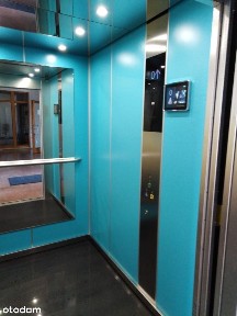 lokal biurowy o powierzchni 50 m2 do wynajęcia !