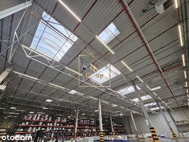 Magazyn 5382 m2 + biuro 70 m2