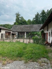 Dom+ zabudowania, 4, 16 ha ziemi, Kałuże
