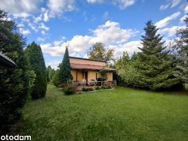 Wakacyjna 21, Taciszów, Rudziniec, gliwicki, śląskie
