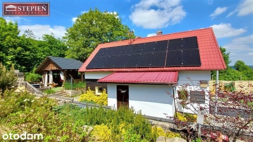 Dom na działce 6024 m² z potencjałem inwestycyjnym
