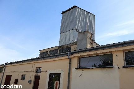 MAGAZYN / CENTRUM LOGISTYCZNE - Hrubieszów ul. Nowa 31 i 31a