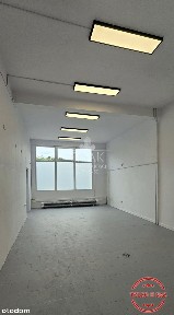 Lokal usługowy 117 m² - os. Kasztanowe Szczecin