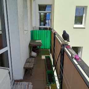 Mieszkanie na sprzedaż Praga Południe Saska Kępa ul. Ateńska 2