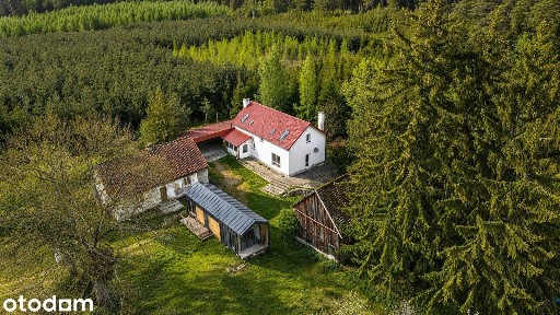 Leśniczówka na Mazurach, wyjątkowy dom w środku lasu - obok Ełku