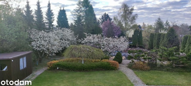 Sprzedam dom z basenem pod Bydgoszczą
