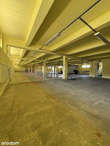 Atrakcyjny Lokal 441 m2 - Rzeszów
