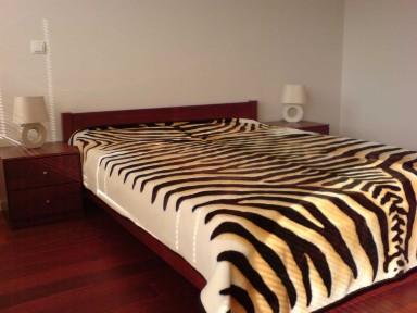 DO WYNAJĘCIA PRZESTRONNY APARTAMENT