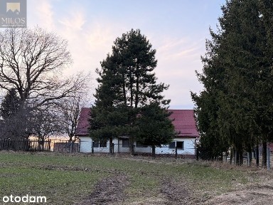 Siedlisko nad jeziorem z linią brzegową