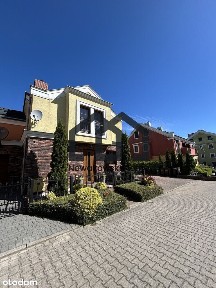 Urokliwy bliźniak na 
