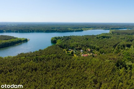 1 HA Nad Jeziorem | Własny Pomost | Dom |1h Poznań