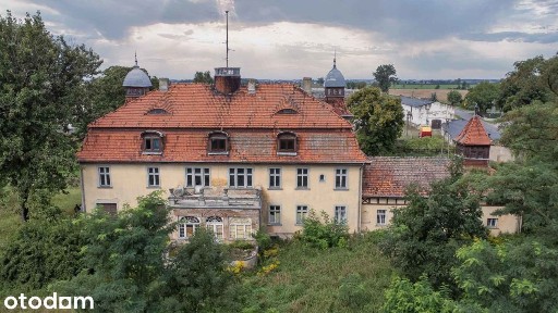 Zespół pałacowo - parkowy I Bez prowizji