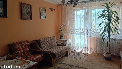 Dwupokojowe mieszkanie na 1 piętrze z dużym balkonem