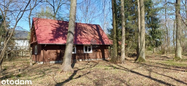 3185 m² prywatnego lasu pod Warszawą Dom z bali