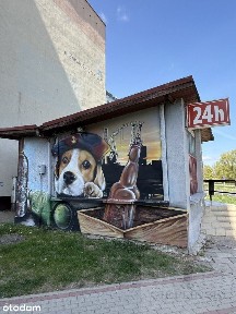 Osów, Zachód, Szczecin, zachodniopomorskie