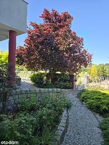 Dom, 125,65 m², Ślesin