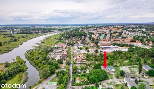Lokal użytkowy 285,39 m² |Cały parter|Krosno Odrz.