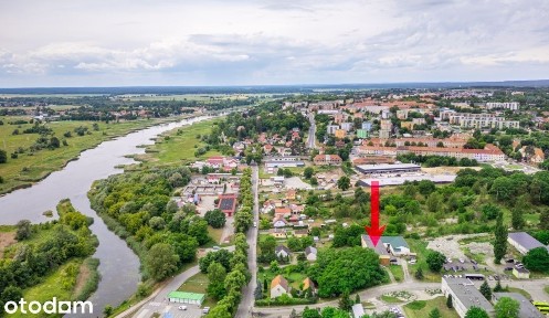 Lokal użytkowy 285,39 m² |Cały parter|Krosno Odrz.