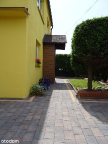 Studio 32 m2 w okresie cały WRZESIEŃ