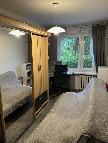 Wielkopolskie, Poznań, Winogrady