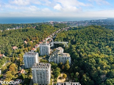 Lokal komercyjny | Biuro | Usługi | Sopot Górny