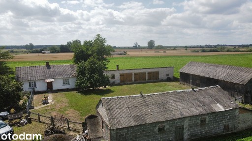 Siedlisko z dużą działką 7000 m² - dom i budynki gospodarcze. Kotlice