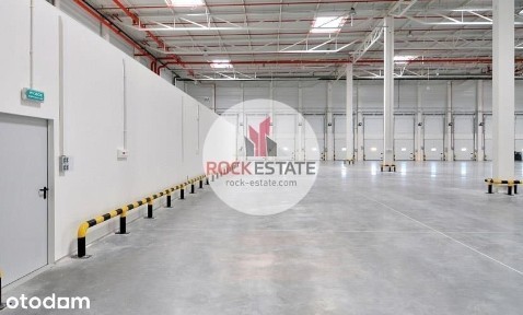 Magazyn do wynajęcia 1464 m2 w Pruszkowie - 0%prow