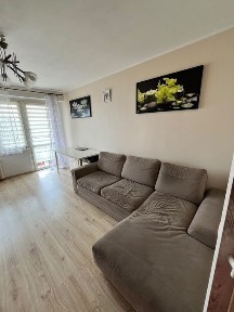 .Do wynajęcia mieszkanie dwa pokoje z kuchnią i balkonem przy ulicy Dmowskiego