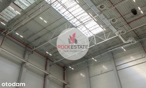 Magazyn 9300 m2 Zgierz - 0% prowizji