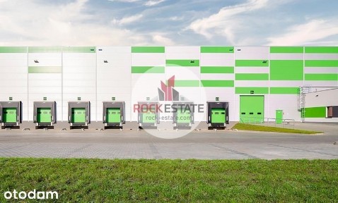 Magazyn wynajem 5840 m2 Dąbrówka - 0% prowizji