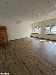 Do wynajęcia lokale na biura, gabinety po kapitalnym remoncie