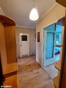 Na sprzedaż przestronne 2-pokojowe mieszkanie z dużym balkonem - 47 m²
