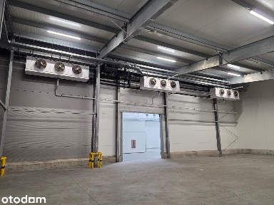 Hala magazynowa 2200 m² z komorami chłodniczymi