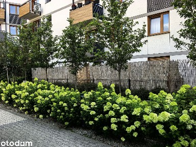 Mieszkanie 48m2 z ogródkiem na Klecinie