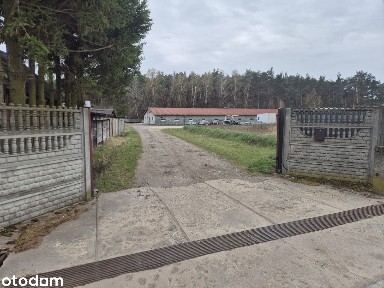 Lubochnia, tomaszowski, łódzkie