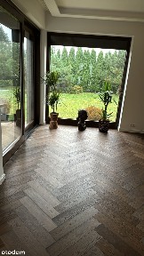 Wynajmę urokliwy dom w czosnowie